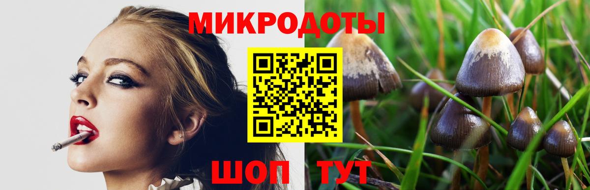 Белая Калитва  Галлюциногенные грибы прущие грибы  Вход с VPN 